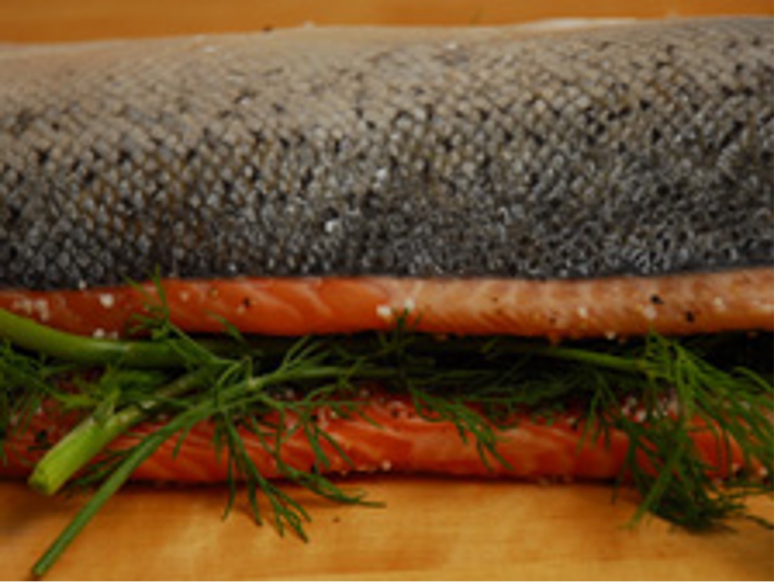 Gravad lax – Gebeizter Lachs
